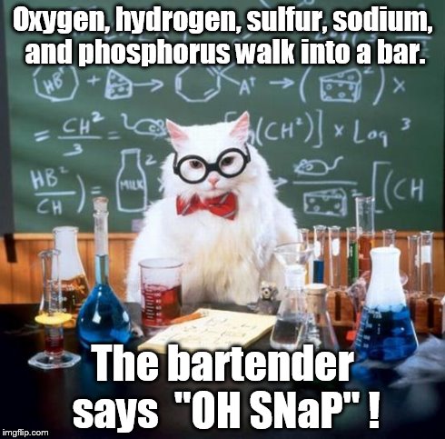 Chemistry Cat Meme | Oxygen, hydrogen, sulfur, sodium, and phosphorus walk into a bar. The bartender says  "OH SNaP" ! | image tagged in memes,chemistry cat,bartender,walks into a bar | made w/ Imgflip meme maker