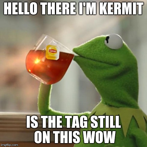 But That's None Of My Business Meme | HELLO THERE I'M KERMIT IS THE TAG STILL ON THIS WOW | image tagged in memes,but thats none of my business,kermit the frog | made w/ Imgflip meme maker