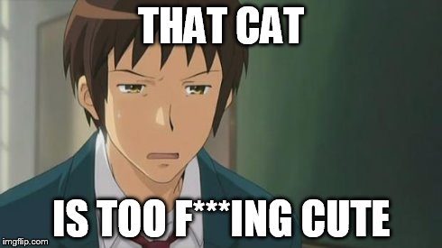 Kyon WTF | THAT CAT IS TOO F***ING CUTE | image tagged in kyon wtf | made w/ Imgflip meme maker