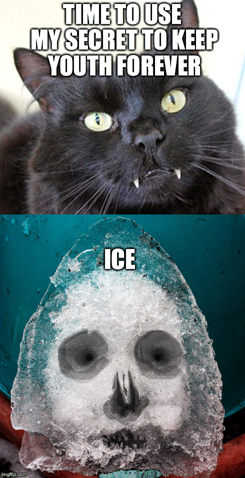 cat vampire eternal youth | TIME TO USE MY SECRET TO KEEP YOUTH FOREVER ICE | image tagged in ice,water face in  youth black cat | made w/ Imgflip meme maker