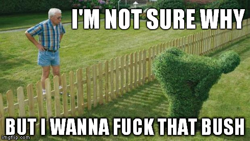 I'M NOT SURE WHY BUT I WANNA F**K THAT BUSH | image tagged in bush | made w/ Imgflip meme maker