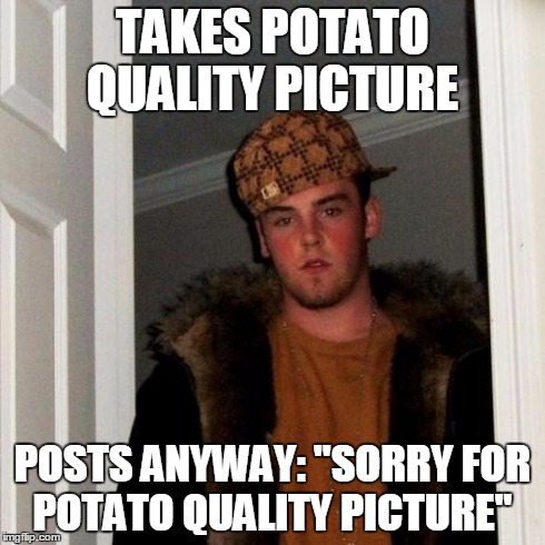 Scumbag Steve Meme | TAKES POTATO QUALITY PICTURE POSTS ANYWAY: "SORRY FOR POTATO QUALITY PICTURE" | image tagged in memes,scumbag steve | made w/ Imgflip meme maker