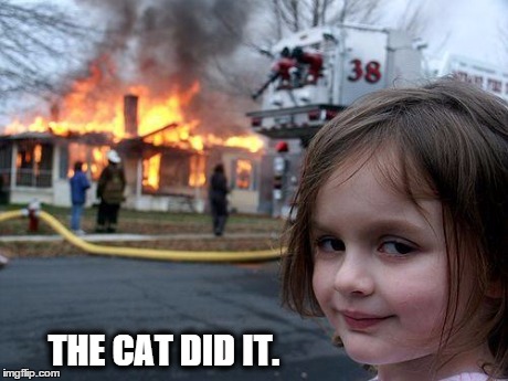 Disaster Girl Meme | THE CAT DID IT. | image tagged in memes,disaster girl | made w/ Imgflip meme maker