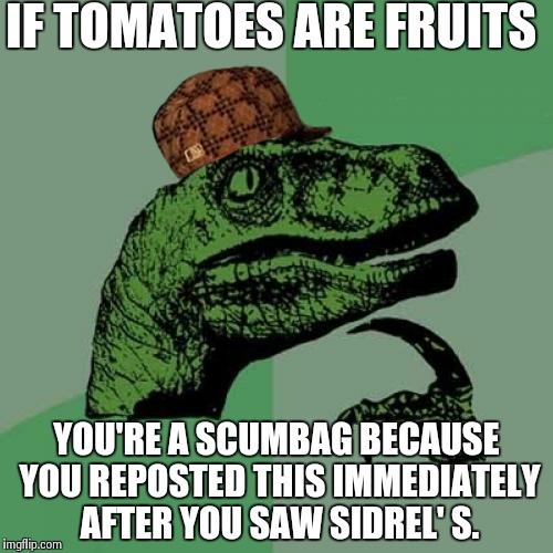 Philosoraptor Meme | IF TOMATOES ARE FRUITS YOU'RE A SCUMBAG BECAUSE YOU REPOSTED THIS IMMEDIATELY AFTER YOU SAW SIDREL' S. | image tagged in memes,philosoraptor,scumbag | made w/ Imgflip meme maker