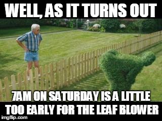 WELL, AS IT TURNS OUT 7AM ON SATURDAY IS A LITTLE TOO EARLY FOR THE LEAF BLOWER | image tagged in neighbor | made w/ Imgflip meme maker
