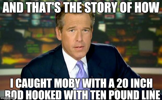 Brian Williams Was There | AND THAT'S THE STORY OF HOW I CAUGHT MOBY WITH A 20 INCH ROD HOOKED WITH TEN POUND LINE | image tagged in memes,brian williams was there | made w/ Imgflip meme maker