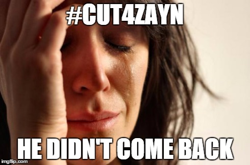 #cut4zayn ? Seriously ? | #CUT4ZAYN HE DIDN'T COME BACK | image tagged in memes,first world problems | made w/ Imgflip meme maker