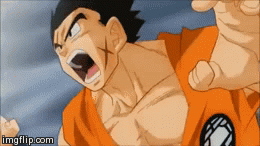 Z fighters | image tagged in gifs,gif | made w/ Imgflip video-to-gif maker