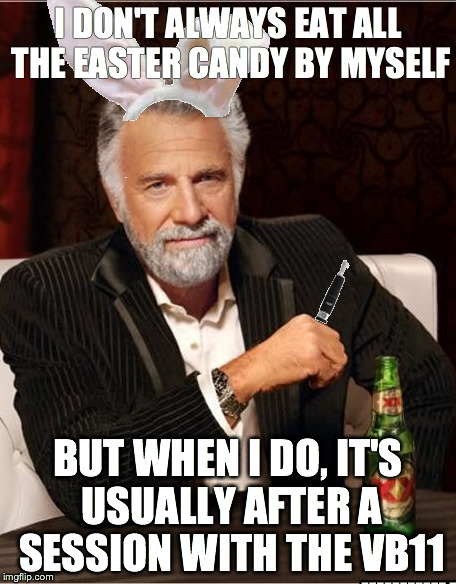 I DON'T ALWAYS EAT ALL THE EASTER CANDY BY MYSELF BUT WHEN I DO, IT'S USUALLY AFTER A SESSION WITH THE VB11 | made w/ Imgflip meme maker
