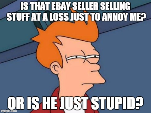 Futurama Fry | IS THAT EBAY SELLER SELLING STUFF AT A LOSS JUST TO ANNOY ME? OR IS HE JUST STUPID? | image tagged in memes,futurama fry | made w/ Imgflip meme maker