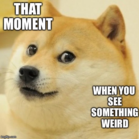 Doge Meme | THAT MOMENT WHEN YOU SEE SOMETHING WEIRD | image tagged in memes,doge | made w/ Imgflip meme maker