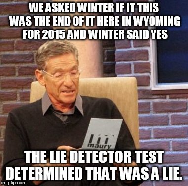 Maury Lie Detector Meme | WE ASKED WINTER IF IT THIS WAS THE END OF IT HERE IN WYOMING FOR 2015 AND WINTER SAID YES THE LIE DETECTOR TEST DETERMINED THAT WAS A LIE. | image tagged in memes,maury lie detector | made w/ Imgflip meme maker