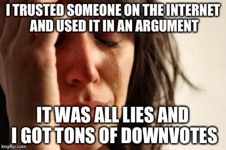 Damn you internet | I TRUSTED SOMEONE ON THE INTERNET AND USED IT IN AN ARGUMENT IT WAS ALL LIES AND I GOT TONS OF DOWNVOTES | image tagged in memes,first world problems | made w/ Imgflip meme maker