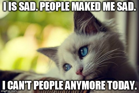 Introvert Cat (Yeah, I know the grammar is wrong. For some reason that's how I imagine sad introvert cats talking.) | I IS SAD. PEOPLE MAKED ME SAD. I CAN'T PEOPLE ANYMORE TODAY. | image tagged in memes,first world problems cat,introvert,sad,people | made w/ Imgflip meme maker