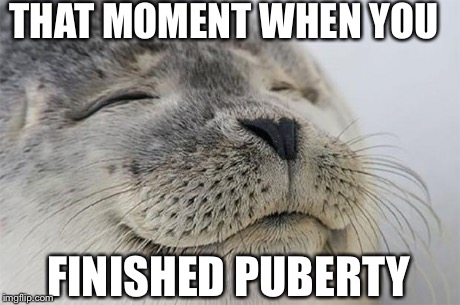 Satisfied Seal | THAT MOMENT WHEN YOU FINISHED PUBERTY | image tagged in memes,satisfied seal | made w/ Imgflip meme maker