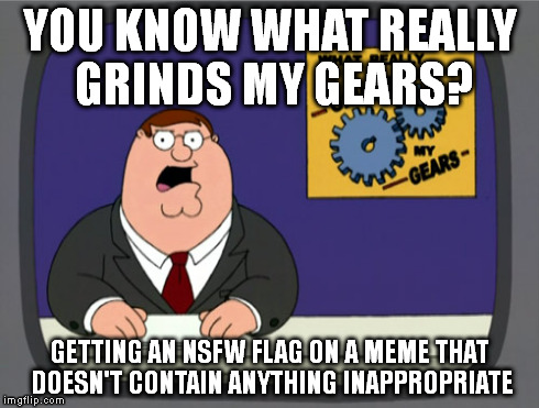 Peter Griffin News | YOU KNOW WHAT REALLY GRINDS MY GEARS? GETTING AN NSFW FLAG ON A MEME THAT DOESN'T CONTAIN ANYTHING INAPPROPRIATE | image tagged in memes,peter griffin news | made w/ Imgflip meme maker