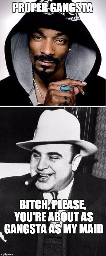 Oh how things have changed...for the worse. | PROPER GANGSTA B**CH, PLEASE, YOU'RE ABOUT AS GANGSTA AS MY MAID | image tagged in snoop capone,snoop dogg,al capone | made w/ Imgflip meme maker