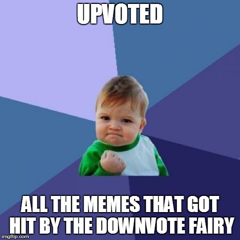 Success Kid Meme | UPVOTED ALL THE MEMES THAT GOT HIT BY THE DOWNVOTE FAIRY | image tagged in memes,success kid | made w/ Imgflip meme maker