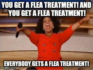 Oprah You Get A Meme | YOU GET A FLEA TREATMENT!
AND YOU GET A FLEA TREATMENT! EVERYBODY GETS A FLEA TREATMENT! | image tagged in you get an oprah | made w/ Imgflip meme maker