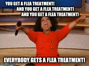 Oprah You Get A | YOU GET A FLEA TREATMENT!



































   AND YOU GET A FLEA TREATMENT!
              AND YOU GET A FLEA TREATMENT! EV | image tagged in you get an oprah | made w/ Imgflip meme maker