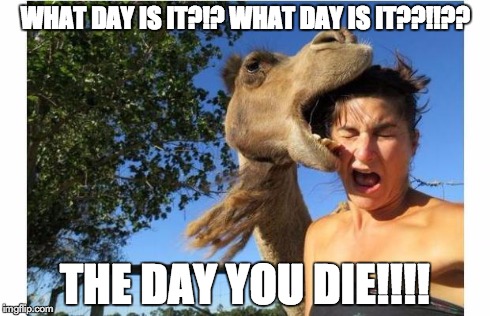 WHAT DAY IS IT?!? WHAT DAY IS IT??!!?? THE DAY YOU DIE!!!! | image tagged in camel bite | made w/ Imgflip meme maker