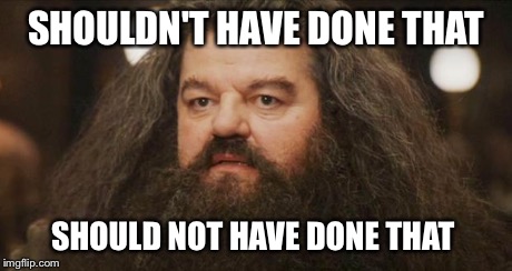 Hagrid | SHOULDN'T HAVE DONE THAT SHOULD NOT HAVE DONE THAT | image tagged in hagrid | made w/ Imgflip meme maker