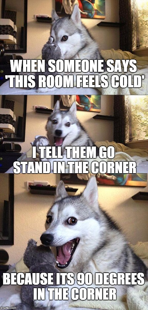 Bad Pun Dog | WHEN SOMEONE SAYS 'THIS ROOM FEELS COLD' I TELL THEM GO STAND IN THE CORNER BECAUSE ITS 90 DEGREES IN THE CORNER | image tagged in memes,bad pun dog | made w/ Imgflip meme maker