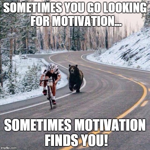 SOMETIMES YOU GO LOOKING FOR MOTIVATION... SOMETIMES MOTIVATION FINDS YOU! | image tagged in motivation | made w/ Imgflip meme maker