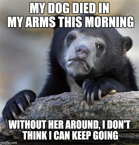 Confession Bear Meme | MY DOG DIED IN MY ARMS THIS MORNING WITHOUT HER AROUND, I DON'T THINK I CAN KEEP GOING | image tagged in memes,confession bear,AdviceAnimals | made w/ Imgflip meme maker