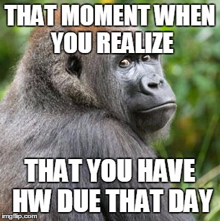 THAT MOMENT WHEN YOU REALIZE THAT YOU HAVE HW DUE THAT DAY | image tagged in that one moment | made w/ Imgflip meme maker