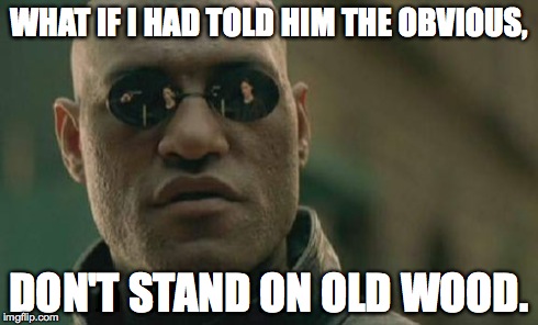 Matrix Morpheus | WHAT IF I HAD TOLD HIM THE OBVIOUS, DON'T STAND ON OLD WOOD. | image tagged in memes,matrix morpheus | made w/ Imgflip meme maker