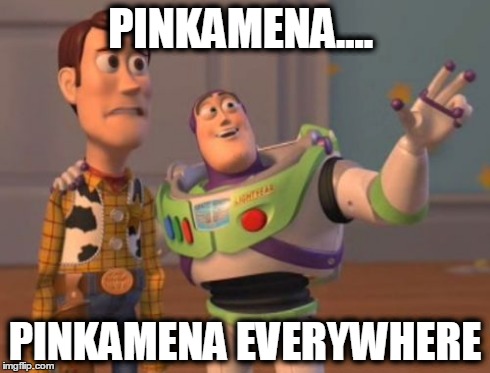 X, X Everywhere Meme | PINKAMENA.... PINKAMENA EVERYWHERE | image tagged in memes,x x everywhere | made w/ Imgflip meme maker