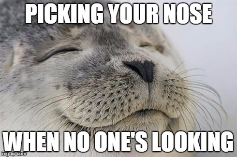 Satisfied Seal Meme | PICKING YOUR NOSE WHEN NO ONE'S LOOKING | image tagged in memes,satisfied seal | made w/ Imgflip meme maker