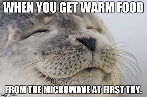 Satisfied Seal | WHEN YOU GET WARM FOOD FROM THE MICROWAVE AT FIRST TRY. | image tagged in memes,satisfied seal | made w/ Imgflip meme maker