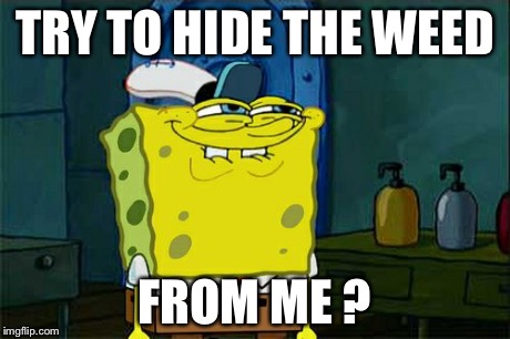 Don't You Squidward Meme | TRY TO HIDE THE WEED FROM ME ? | image tagged in memes,dont you squidward | made w/ Imgflip meme maker