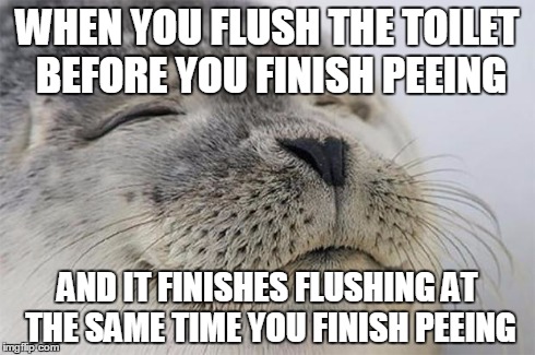 Satisfied Seal | WHEN YOU FLUSH THE TOILET BEFORE YOU FINISH PEEING AND IT FINISHES FLUSHING AT THE SAME TIME YOU FINISH PEEING | image tagged in memes,satisfied seal | made w/ Imgflip meme maker