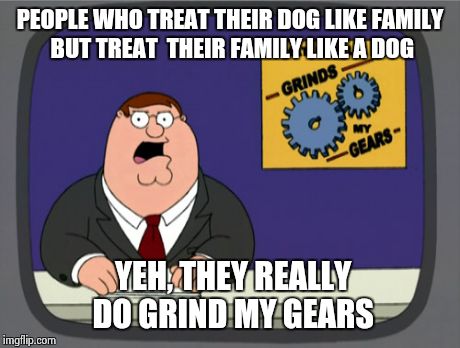Peter Griffin News | PEOPLE WHO TREAT THEIR DOG LIKE FAMILY BUT TREAT  THEIR FAMILY LIKE A DOG YEH, THEY REALLY DO GRIND MY GEARS | image tagged in memes,peter griffin news | made w/ Imgflip meme maker