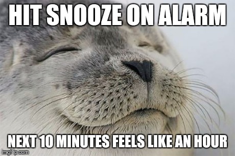 Satisfied Seal Meme | HIT SNOOZE ON ALARM NEXT 10 MINUTES FEELS LIKE AN HOUR | image tagged in memes,satisfied seal,AdviceAnimals | made w/ Imgflip meme maker