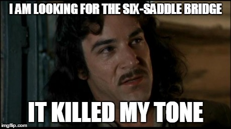 The Princess Bride | I AM LOOKING FOR THE SIX-SADDLE BRIDGE IT KILLED MY TONE | image tagged in the princess bride | made w/ Imgflip meme maker