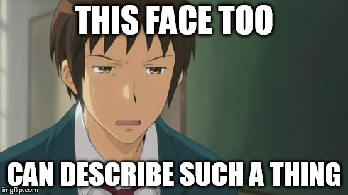 Kyon WTF | THIS FACE TOO CAN DESCRIBE SUCH A THING | image tagged in kyon wtf | made w/ Imgflip meme maker