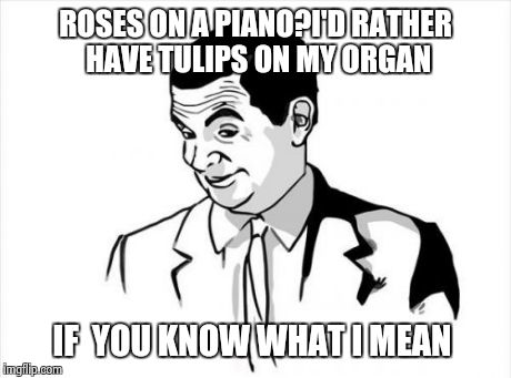 If You Know What I Mean Bean Meme | ROSES ON A PIANO?I'D RATHER HAVE TULIPS ON MY ORGAN IF  YOU KNOW WHAT I MEAN | image tagged in memes,if you know what i mean bean | made w/ Imgflip meme maker