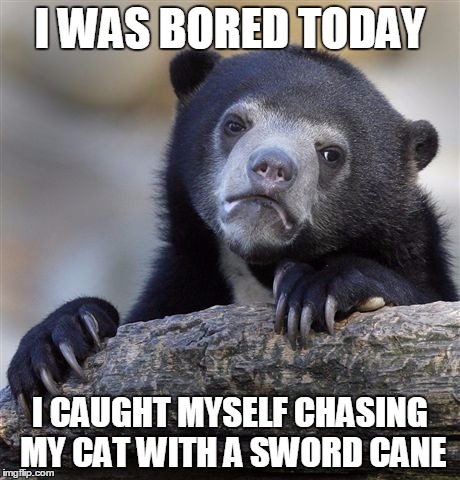 Confession Bear | I WAS BORED TODAY I CAUGHT MYSELF CHASING MY CAT WITH A SWORD CANE | image tagged in memes,confession bear,AdviceAnimals | made w/ Imgflip meme maker