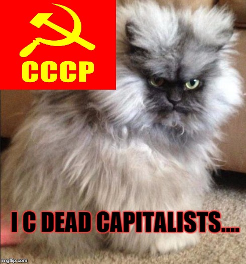 soviet cat | I C DEAD CAPITALISTS.... | image tagged in cat,soviet,russia,putin,capitalism,anarchy | made w/ Imgflip meme maker