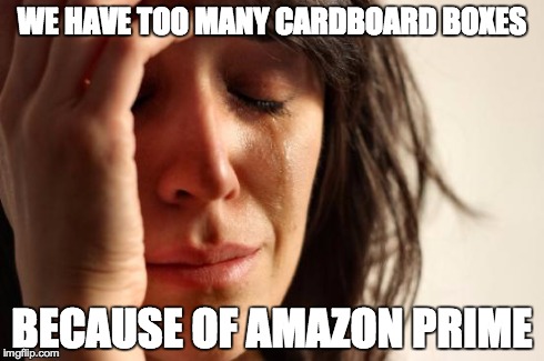 First World Problems | WE HAVE TOO MANY CARDBOARD BOXES BECAUSE OF AMAZON PRIME | image tagged in memes,first world problems,AdviceAnimals | made w/ Imgflip meme maker