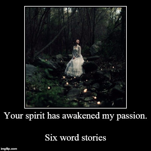 Your spirit has awakened my passion. | Six word stories | image tagged in demotivationals,romance | made w/ Imgflip demotivational maker