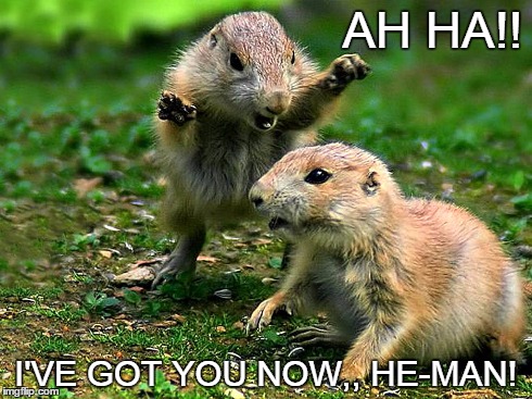 AH HA!! I'VE GOT YOU NOW,, HE-MAN! | image tagged in memes,animals | made w/ Imgflip meme maker