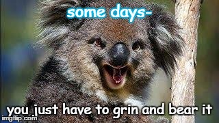 some days- you just have to grin and bear it | image tagged in grin and bear it,memes | made w/ Imgflip meme maker