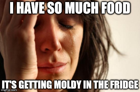 First World Problems Meme | I HAVE SO MUCH FOOD IT'S GETTING MOLDY IN THE FRIDGE | image tagged in memes,first world problems | made w/ Imgflip meme maker