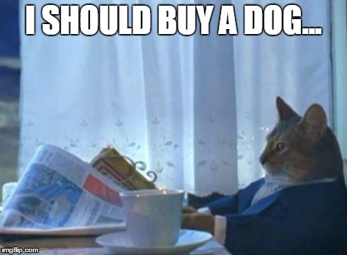 I Should Buy A Boat Cat | I SHOULD BUY A DOG... | image tagged in memes,i should buy a boat cat | made w/ Imgflip meme maker