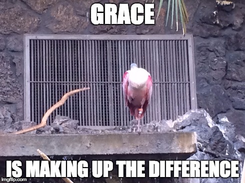 GRACE IS MAKING UP THE DIFFERENCE | image tagged in grace | made w/ Imgflip meme maker